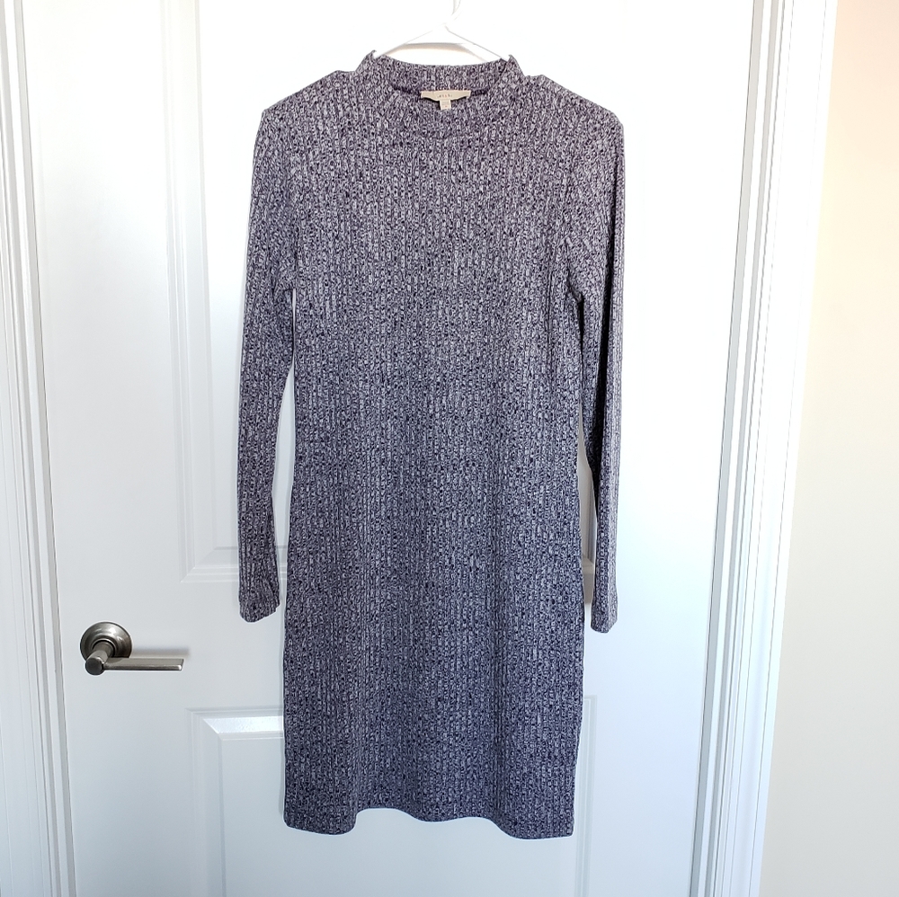 Lark & Ro Purple Mock Neck Rib Knit Dress Sz M